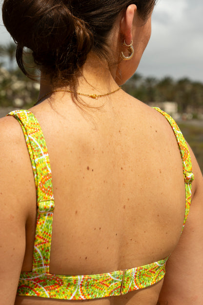 Jardim de Frutas - Top